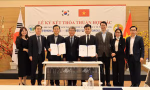 Tăng cường hỗ trợ y tế cho người Việt Nam tại Hàn Quốc