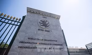 WTO khởi động tiến trình bầu chọn lãnh đạo mới