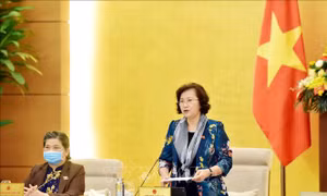 Các đại biểu Quốc hội cần phát huy trí tuệ, tâm huyết và trách nhiệm trong phòng, chống dịch COVID-19
