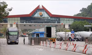 Nhộn nhịp hoạt động biên mậu tại Lạng Sơn