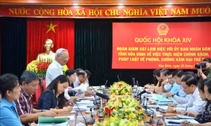 Hòa Bình cần nâng cao hơn nữa hiệu quả công tác phòng, chống xâm hại trẻ em