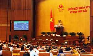 Thông cáo báo chí số 8, Kỳ họp thứ 7, Quốc hội khóa XIV​
