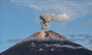 Tạm thời đóng cửa một sân bay ở Indonesia do núi lửa Semeru phun trào