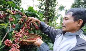 'Trụ đỡ' vững vàng vượt sóng về đích
