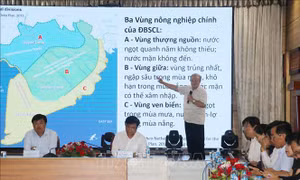 Phát triển Đồng bằng sông Cửu Long từ cây lúa
