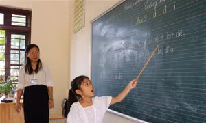 Tất cả các giáo viên được cử dạy lớp 2, lớp 6 tham gia góp ý cho bản mẫu SGK 