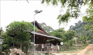 Bản làng đổi mới từ chính sách hỗ trợ vùng đệm
