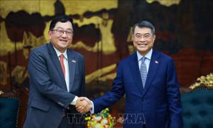 Thủ tướng Lê Minh Hưng tiếp Đại sứ Malaysia chào từ biệt