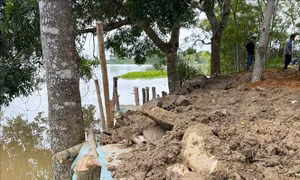 Thanh Hóa: Huy động hơn 200 người kịp thời xử lý sự cố công trình đê điều, thuỷ lợi