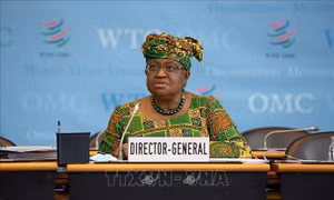 WTO dưới thời lãnh đạo mới: Cải cách để vững mạnh  