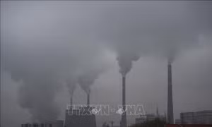 Khí thải CO2 do sử dụng than đá của G20 tiếp tục tăng