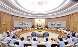 Nghị quyết phiên họp Chính phủ thường kỳ tháng 9/2019