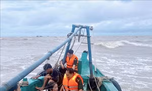 Kịp thời cứu 2 thuyền viên bị chìm tàu trên biển
