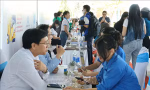 Lao động trẻ được tiếp cận nhiều vị trí việc làm