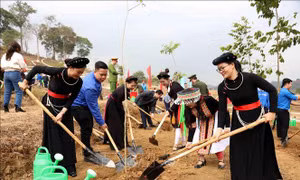 Gieo mầm xanh, gìn giữ vẻ đẹp thiên nhiên