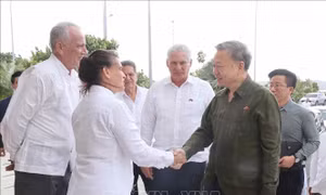 Tổng Bí thư, Chủ tịch nước Tô Lâm thăm Đặc khu phát triển Mariel