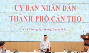 Phân công nhiệm vụ của Chủ tịch và Phó Chủ tịch UBND thành phố Cần Thơ