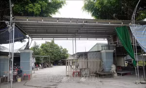 Thanh Hóa: Vì sao khu chợ cóc buôn bán nhiều năm vẫn chưa được thuê đất?