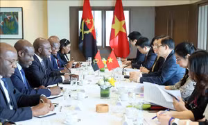 Nâng cao chất lượng, hiệu quả và đa dạng hóa hình thức hợp tác Việt Nam - Angola