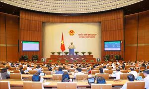 Thông cáo báo chí số 15, Kỳ họp thứ 10, Quốc hội khóa XIV