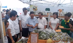 Hiệu quả từ việc kết nối cung - cầu nông sản, thực phẩm an toàn