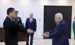 Việt Nam khẳng định quan điểm nhất quán về Palestine, sẵn sàng tham gia tái thiết Gaza
