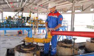 Sẽ có thêm 6 thương nhân đầu mối được cấp phép phối trộn E10 trong tháng 7