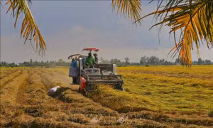 Bước chuyển đổi từ tư duy sản xuất nông nghiệp sang tư duy kinh tế nông nghiệp