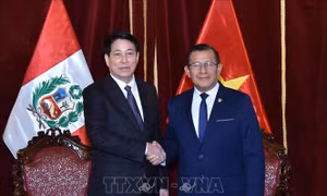 Chủ tịch nước Lương Cường hội kiến Chủ tịch Quốc hội Peru