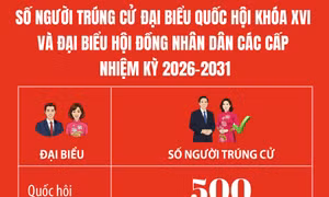 500 người trúng cử Đại biểu Quốc hội khóa XVI