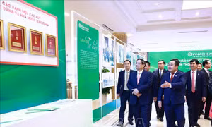 Thủ tướng dự Lễ kỷ niệm 55 năm Ngày truyền thống ngành Hóa chất Việt Nam