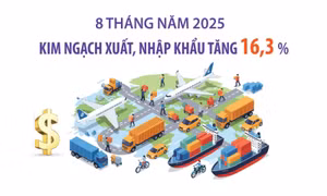 8 tháng năm 2025: Kim ngạch xuất, nhập khẩu tăng 16,3%