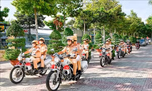 Bình Thuận: Tước hơn 3.500 giấy phép lái xe do vi phạm an toàn giao thông