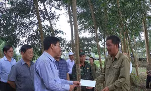Cà Mau tập trung mọi nguồn lực giữ cho rừng tràm U Minh Hạ an toàn bước qua mùa khô hạn