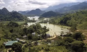 Ứng phó bão số 11: Phú Thọ, Bắc Ninh chủ động ứng phó với thiên tai