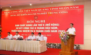 Phát huy vai trò nòng cốt của lực lượng doanh nghiệp nhà nước trong phát triển kinh tế - xã hội