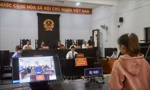 Đắk Nông lần đầu mở phiên tòa xét xử trực tuyến