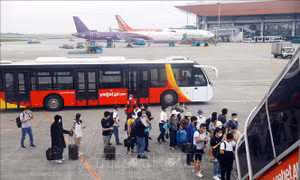 Cục Hàng không Việt Nam: Vé máy bay Tết đang còn nhiều