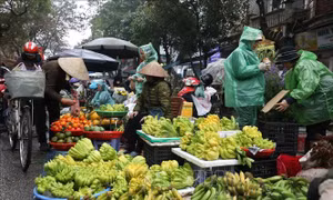 Thị trường dịp lễ Ông Công Ông Táo: Hàng hóa dồi dào, giá cả ổn định