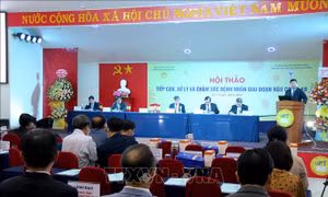 Tiếp cận, xử lý và chăm sóc bệnh nhân giai đoạn hậu COVID-19