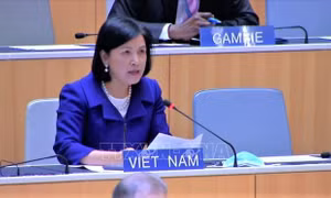 Việt Nam và các nước Nhóm Cairns thúc đẩy cải cách quy tắc về thương mại nông nghiệp
