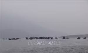 Siết chặt quản lý, phòng ngừa tai nạn giao thông đường thủy