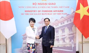 Tiếp tục thúc đẩy làm sâu sắc quan hệ Đối tác chiến lược sâu rộng Việt Nam - Nhật Bản