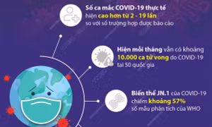 WHO: 10.000 ca tử vong do COVID-19 mỗi tháng trên thế giới