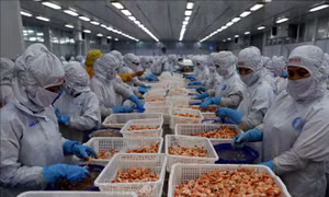 Mở thị trường xuất khẩu thủy sản - Bài cuối: Xây dựng thương hiệu