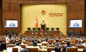 Cần kịp thời điều chỉnh những xung đột trong xã hội bằng hệ thống luật pháp