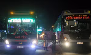 Phú Yên thí điểm vận chuyển hành khách bằng đường bộ với 5 tỉnh, thành phố