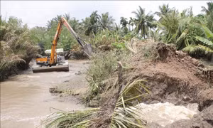 Nhiều hoa màu, nhà dân bị ngập do triều cường ở Cù Lao Dung