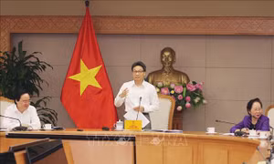 Cải tiến phương án thi THPT phù hợp với lộ trình tự chủ đại học, đổi mới phương pháp dạy và học