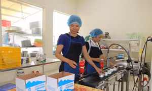 Linh hoạt chuyển hướng cho kinh tế tập thể 